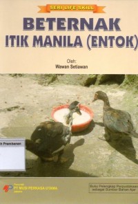 Image of Beternak Itik Manila (Entok)