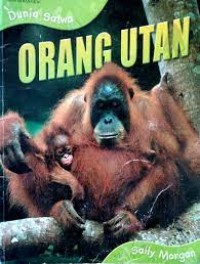 Image of Orang Utan